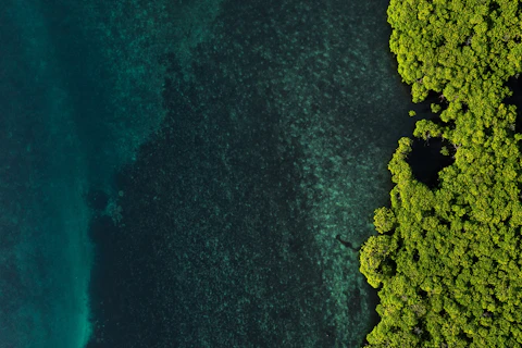 Widok z lotu ptaka na duży zbiornik wodny z widocznymi po prawej stronie zielonymi drzewami na brzegu.